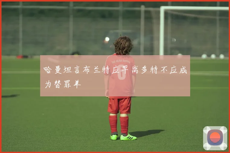 哈曼坦言布兰特应早离多特不应成为替罪羊