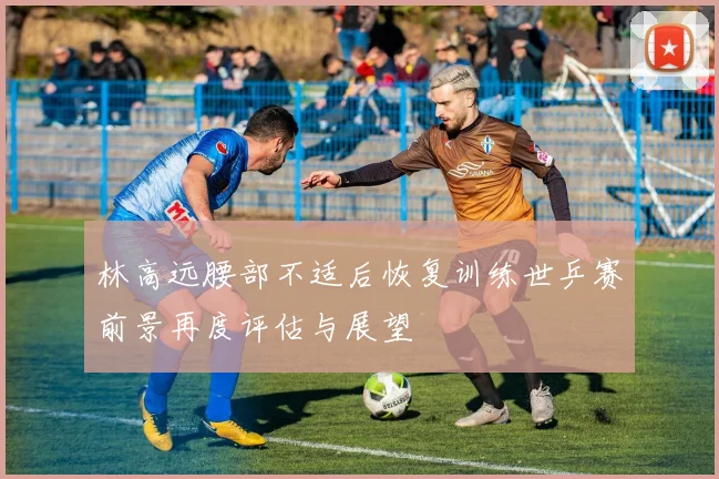 林高远腰部不适后恢复训练世乒赛前景再度评估与展望