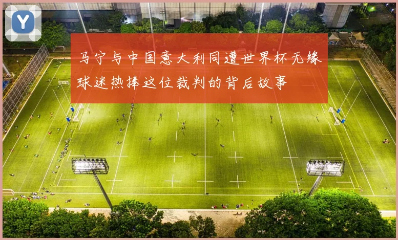 马宁与中国意大利同遭世界杯无缘球迷热捧这位裁判的背后故事
